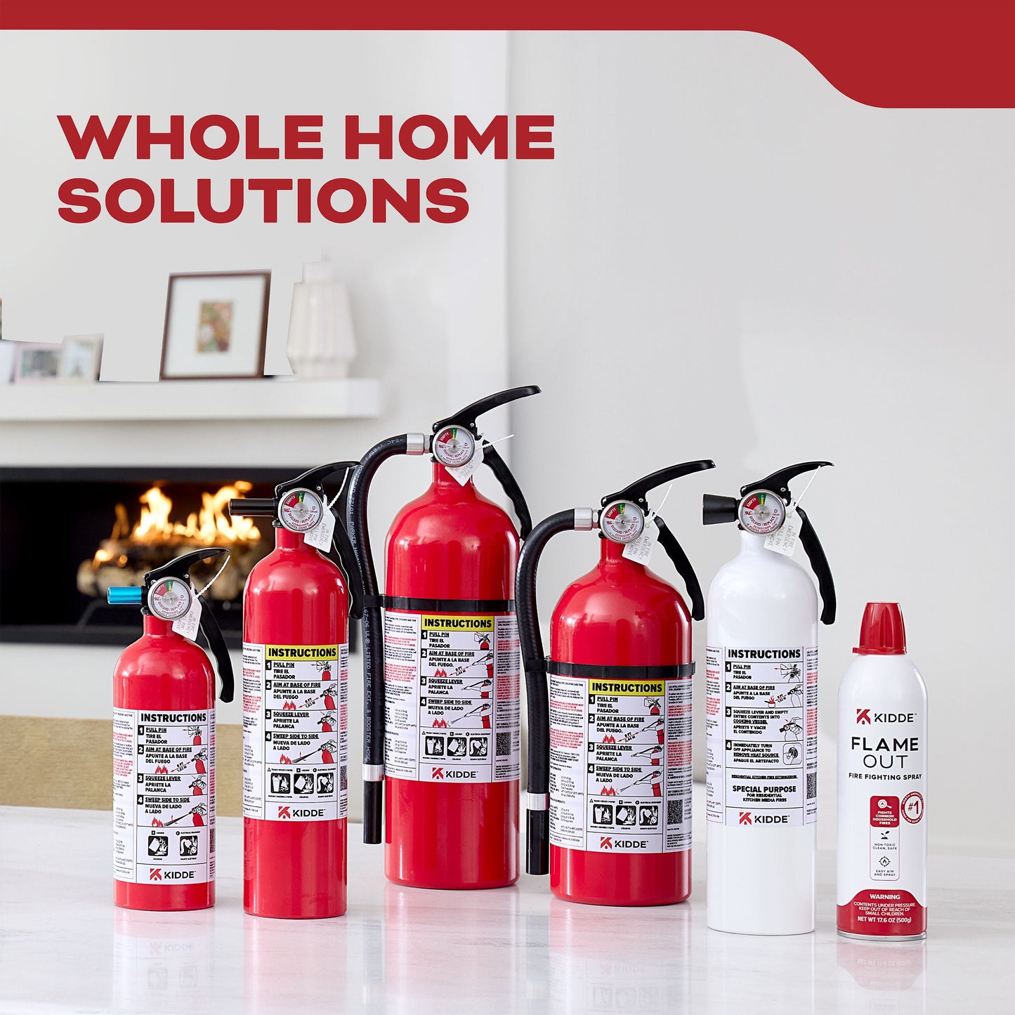 Basic Fire Extinguisher for Home, Residential 1A10BC