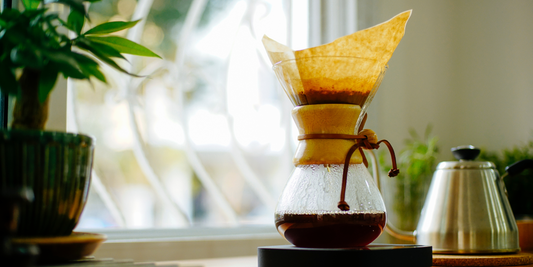 Discover the Fire Maple Antarcti Coffee Filter